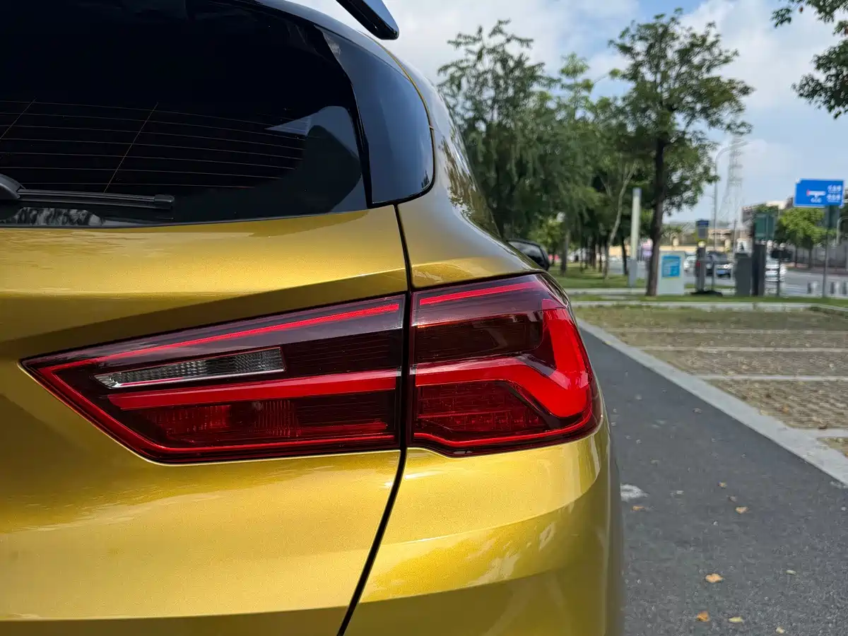 BMW X2 (Import) 2019 2019 sDrive20i M Off-Road Package China VI