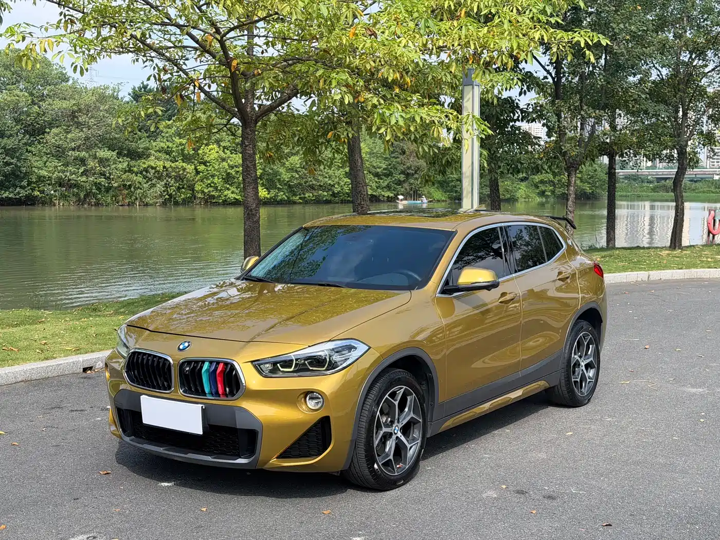 BMW X2 (Import) 2019 2019 sDrive20i M Off-Road Package China VI