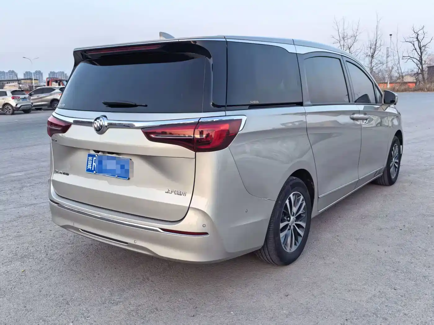Buick GL8 2021 ES Landlord 653T Premium фото 6