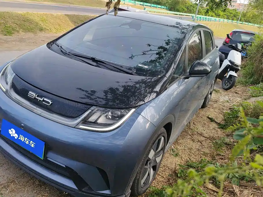 BYD Dolphin 2023 401km Knight Edition