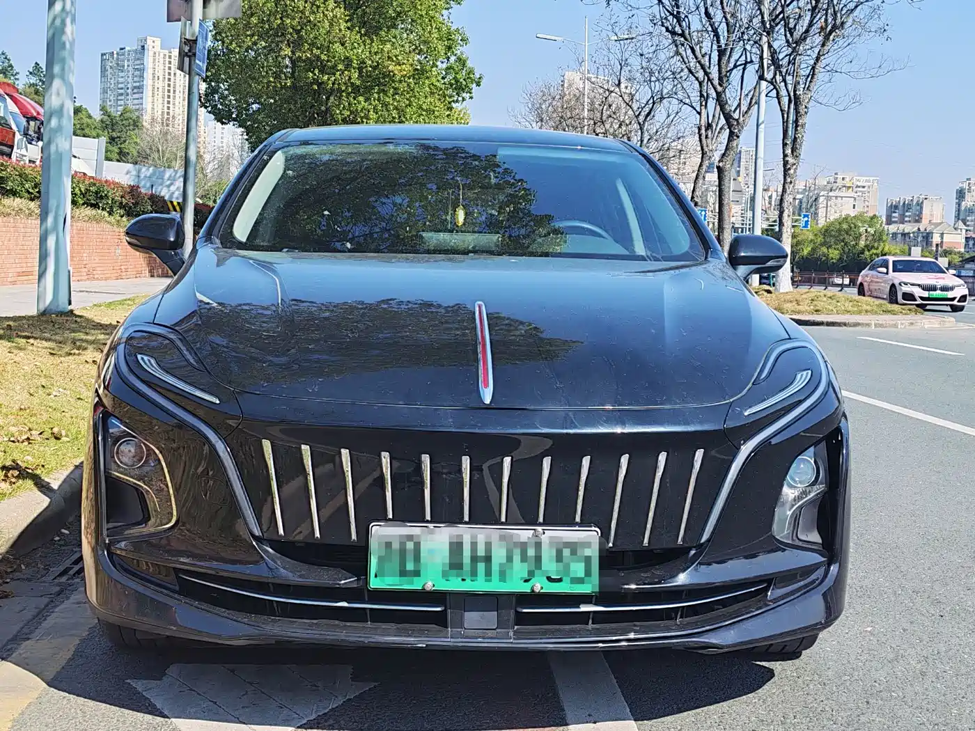 Hongqi HONGQI E QM5