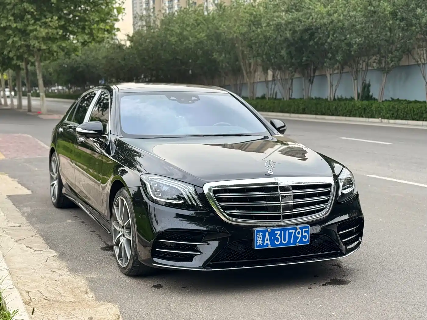 Mercedes-Benz S-Class 2020 S 450 L 4MATIC Collector's Version фото 3