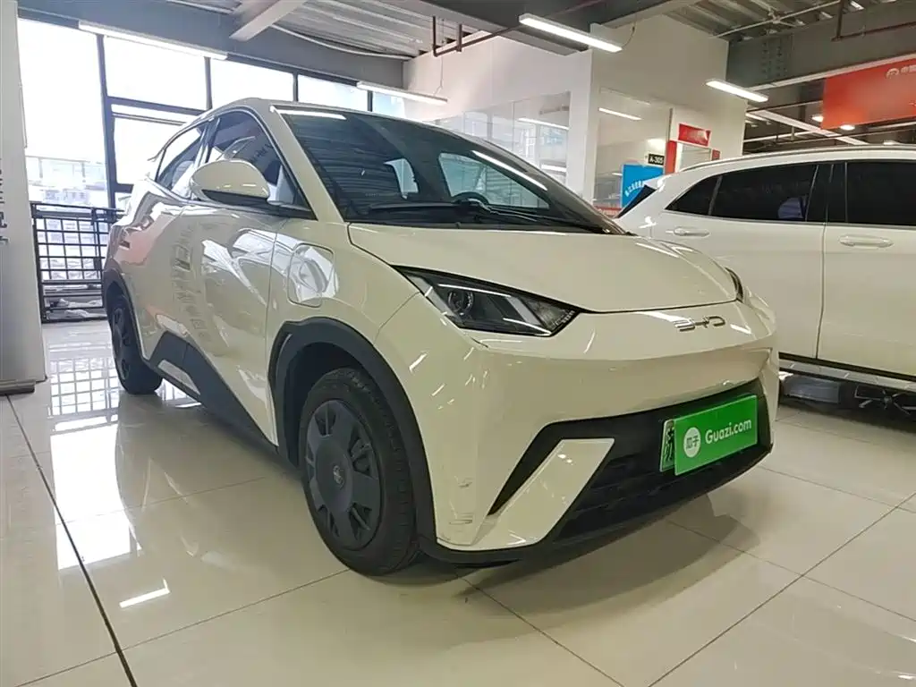 BYD Seagull 2023 Vitality Edition фото 4