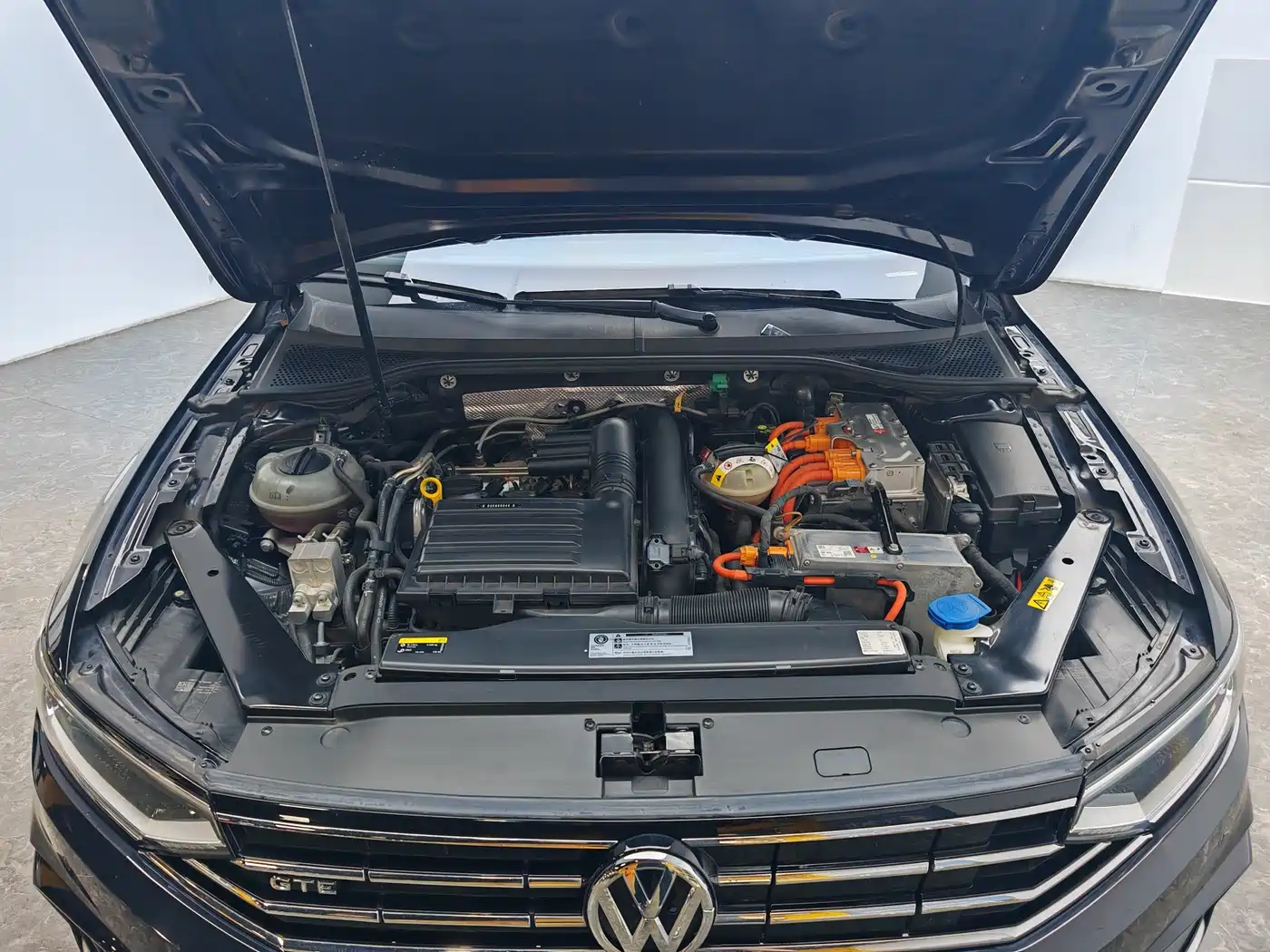 Volkswagen Magotan GTE Plug-in Hybrid 2020 GTE Luxury фото 13