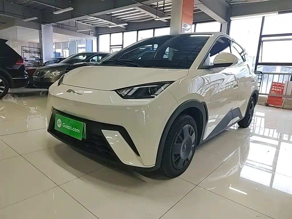 BYD Seagull 2023 Vitality Edition