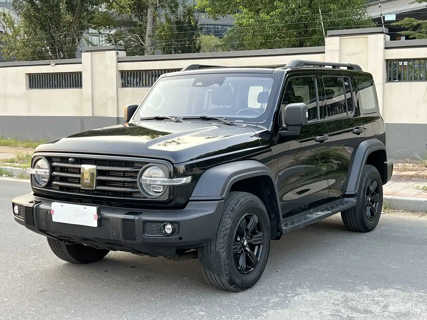 Tank Tank 300 2024 Model 2.0T Challenger