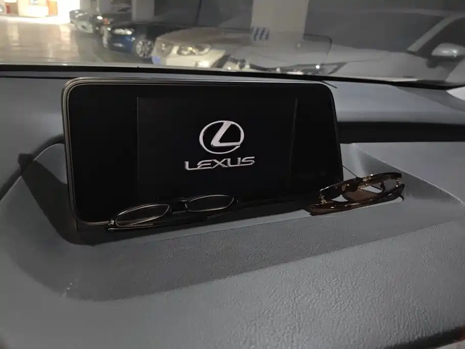 Фото 13 - Lexus RX
