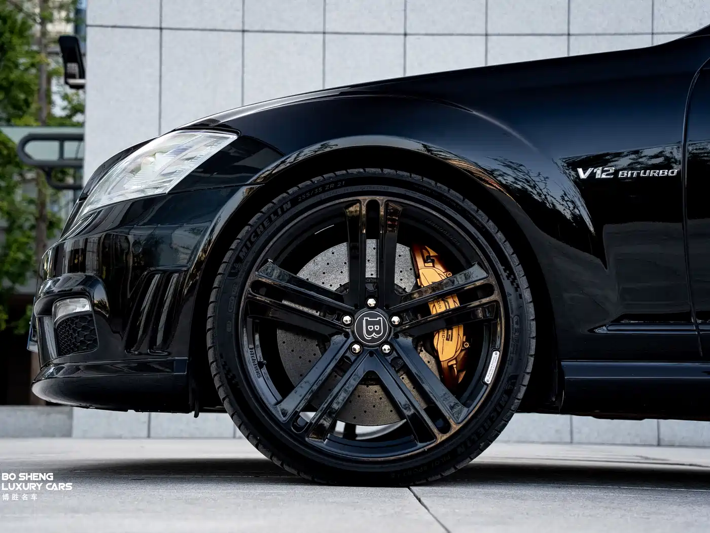 Mercedes-Benz S-Class AMG 2010 AMG S 65 фото 29