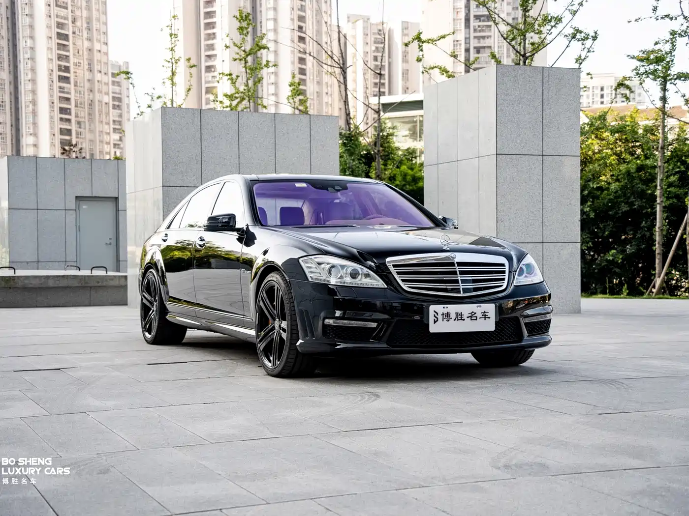 Mercedes-Benz S-Class AMG 2010 AMG S 65 фото 3