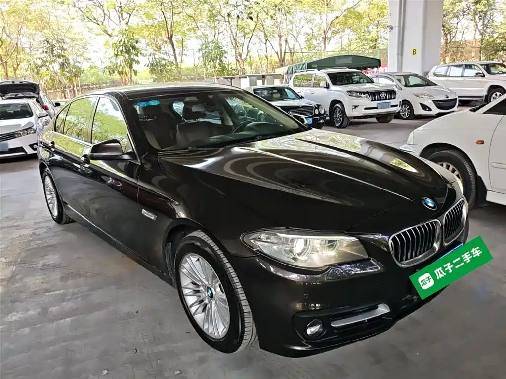 BMW 5 Series 2014 525Li Leading фото 4