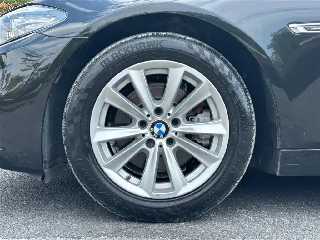 BMW 5 Series (Import) 2015 520i Elegance фото 18