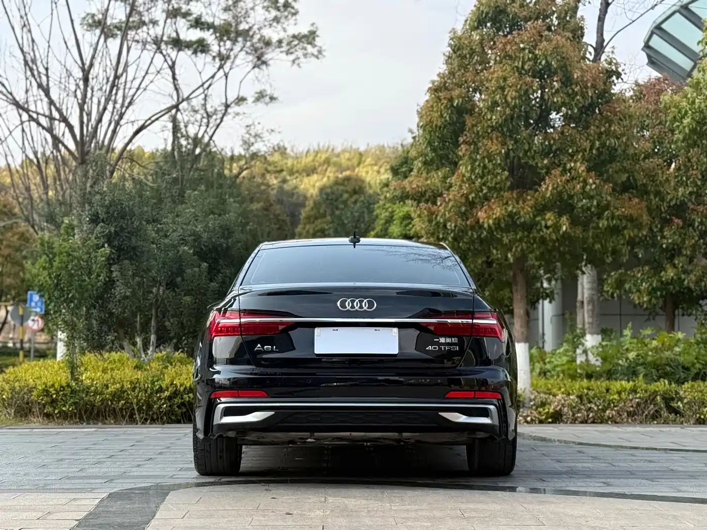 Audi A6L 2023 40 TFSI Luxury Dynamic фото 8