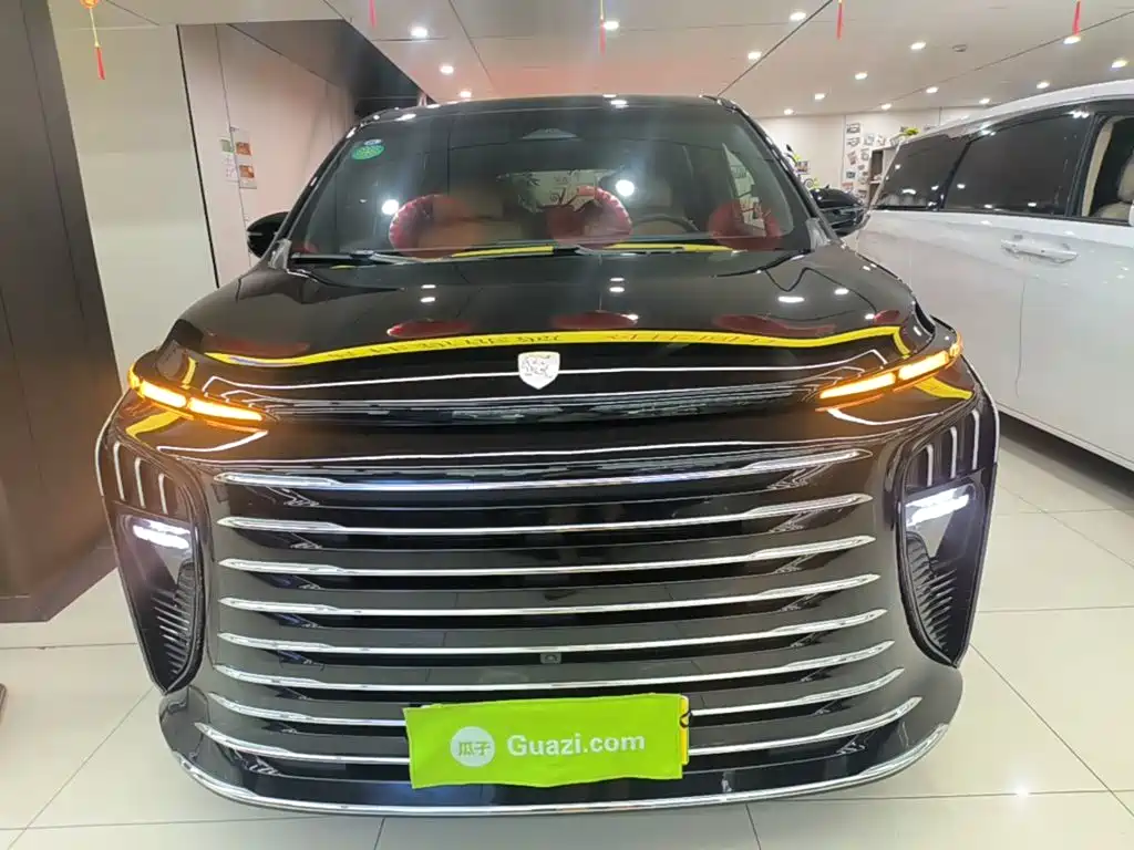 Dongfeng Fengxing Starlight V9 2025 2026 Beyond Joy Series 200km Luxury