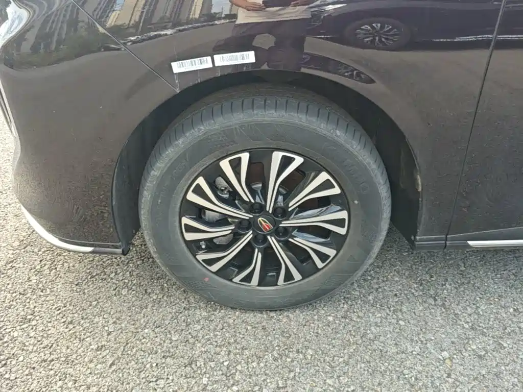 Hongqi HQ9 PHEV 2025 2024 Model 2.0T AWD Business Edition
