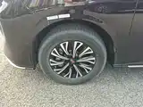 صورة 23 - Hongqi HQ9 PHEV