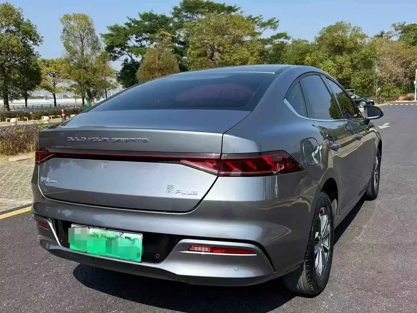 BYD Qin PLUS 2023 Champion Edition DM-i 55KM Leading фото 4