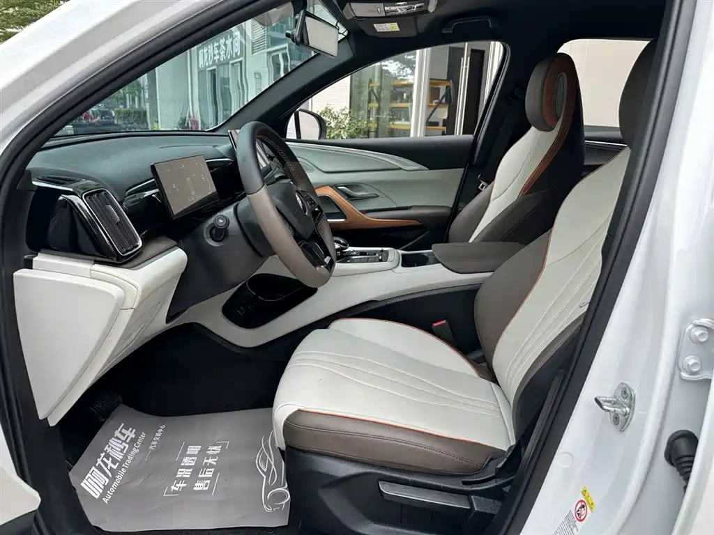BYD Song Pro New Energy 2022 DM-i 51km Luxury фото 17