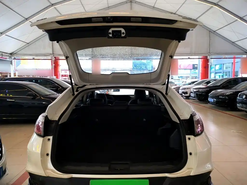 Venucia T90 2018 2018 2.0L CVT Smart Connection Fashion Edition China V