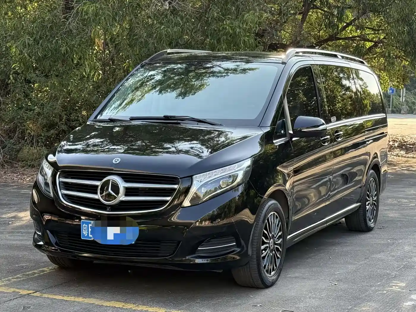 Mercedes-Benz V-Class 2018 V 260 Premium Edition China VI