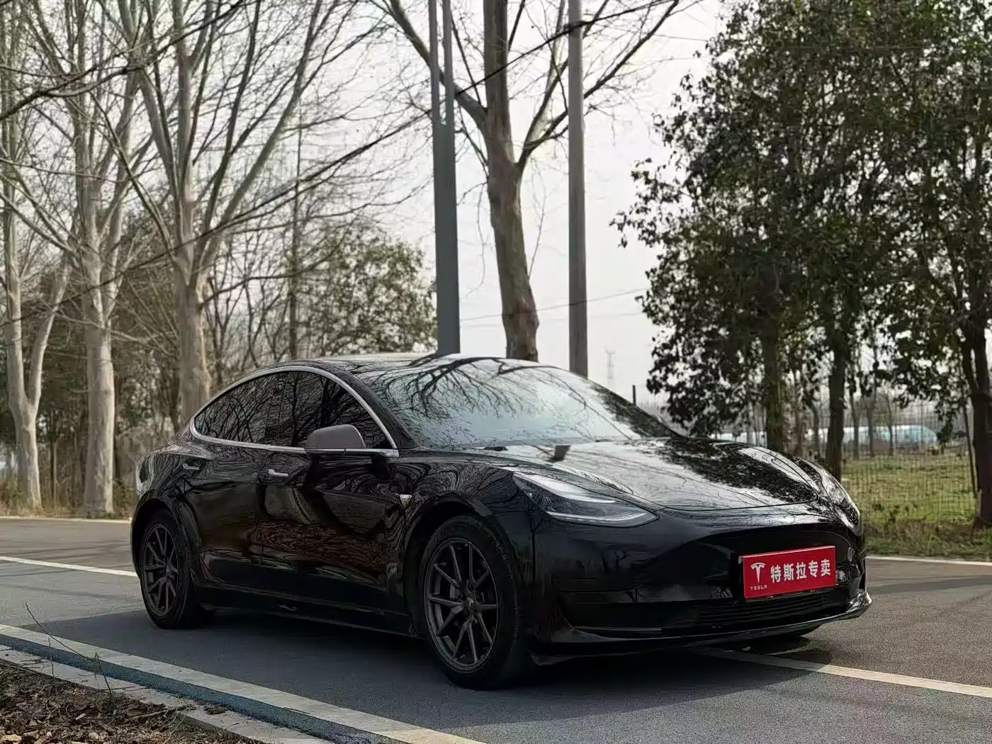 TESLA MODEL 3