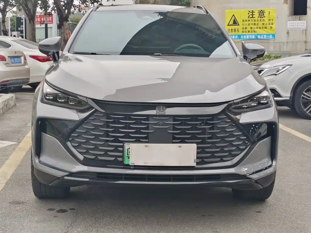BYD Tang New Energy 2025 DM-i 115KM Flagship фото 2
