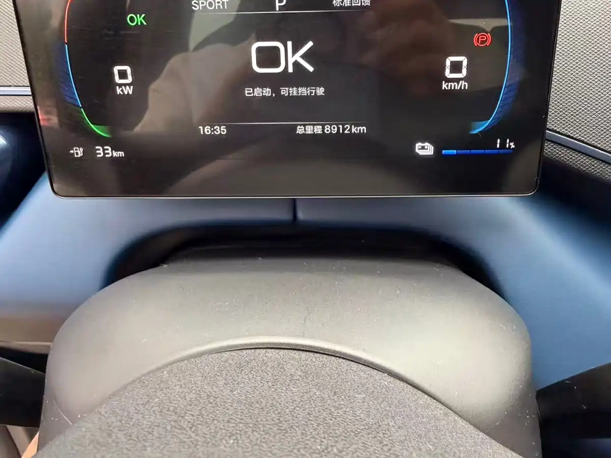 BYD Seagull 2026 2025 Smart Drive Edition 305km Vitality Version