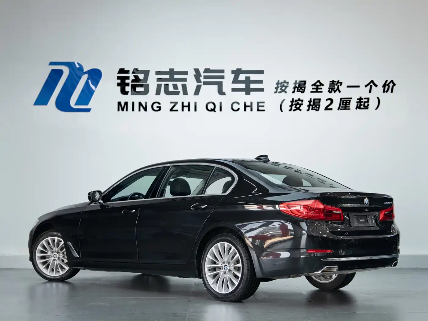 BMW 5 Series 2019 530Li Leading Luxury Package фото 4