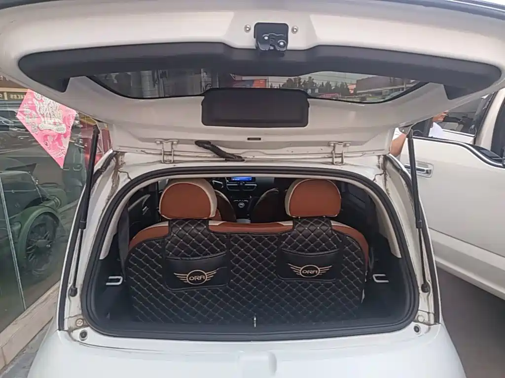 Ora White Cat 2020 2020 401km Long Range Model