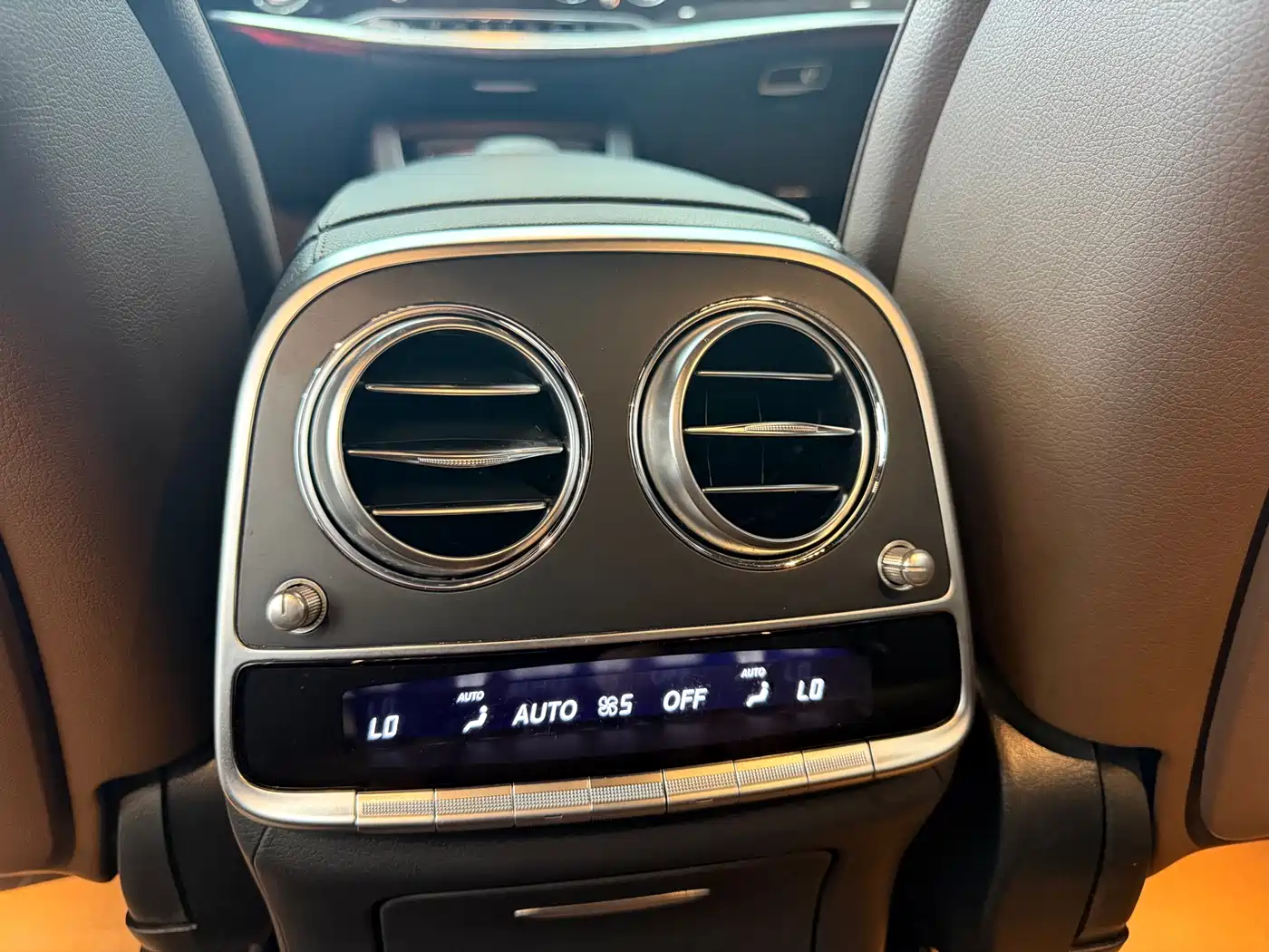 Mercedes-Benz S-Class 2020 S 350 L Business Edition Collector's Version фото 16