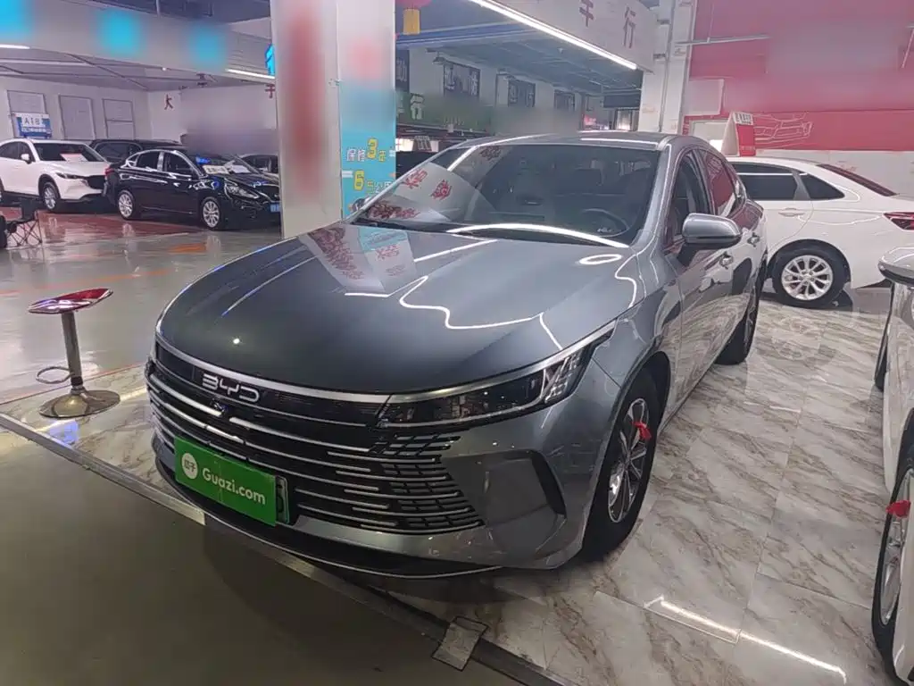 BYD Destroyer 05 2024 Glory Edition DM-i 55KM Luxury