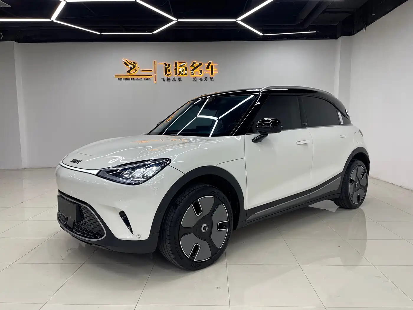 smart Elf #1 2024 Agile Luxury Edition