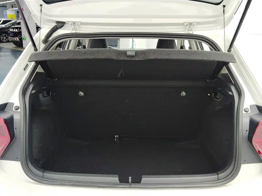 Volkswagen Polo 2021 Plus 1.5L Automatic Colorful Tech Edition фото 4