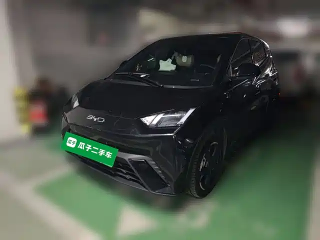 BYD Seagull Слава, 405km, Полёт