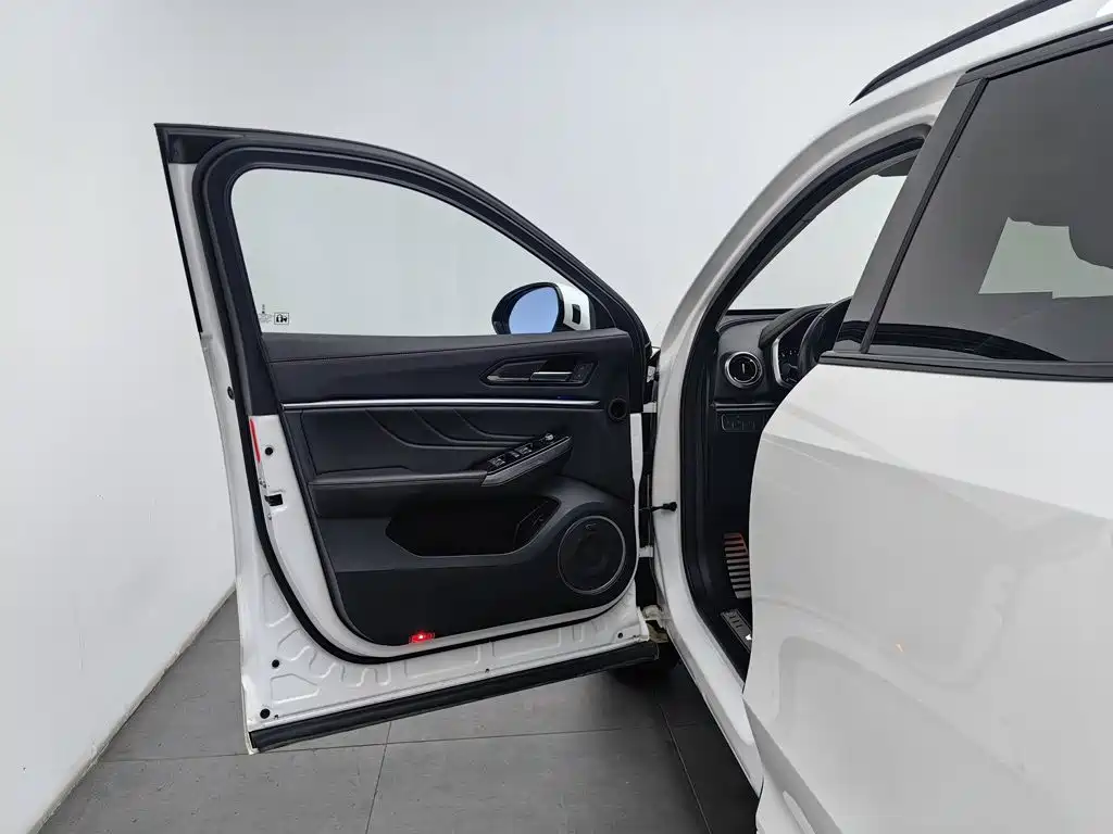 WEY VV5 2017 2017 2.0T Super Luxury Model