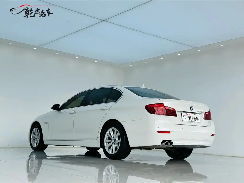 BMW 5 Series 2014 520Li Elegance фото 5
