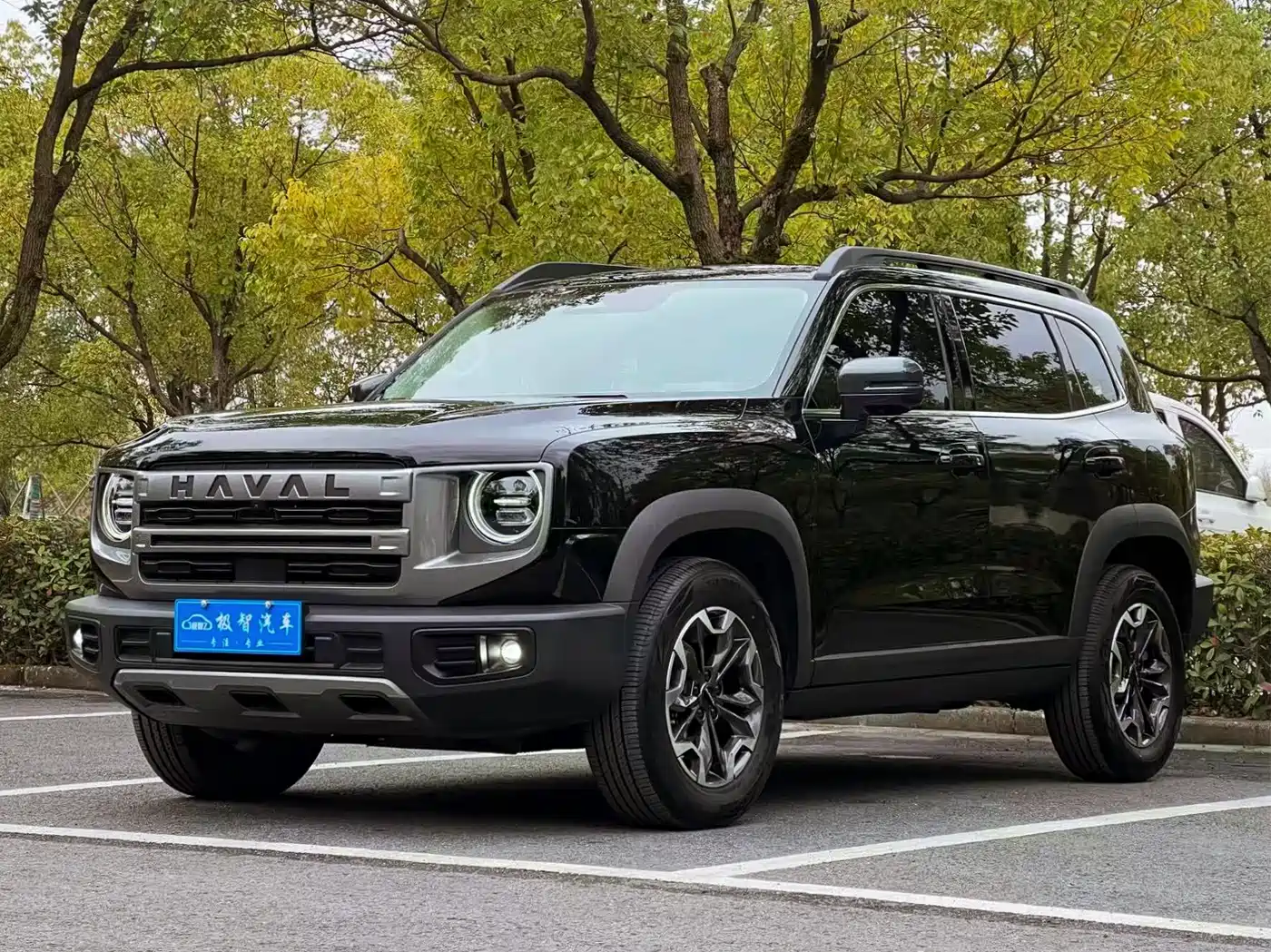 Haval Big Dog 2024 2.0T DCT Chinese Rural Dog Edition