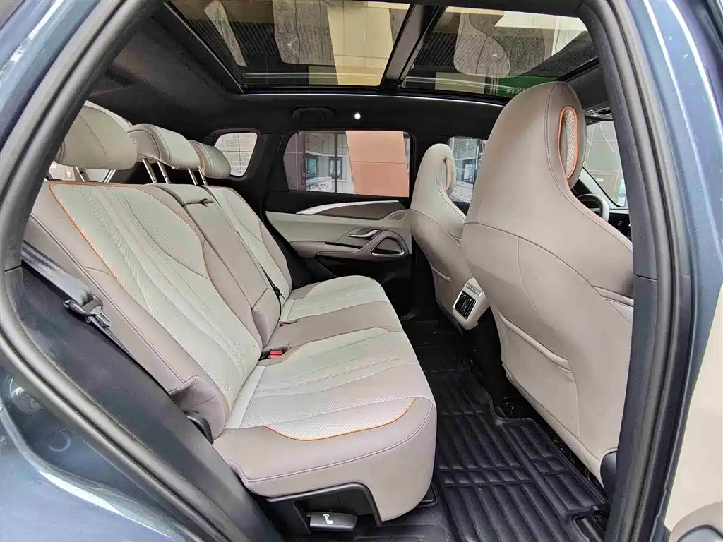 BYD Song Pro New Energy 2024 Glory Edition DM-i 110KM Excellence фото 8