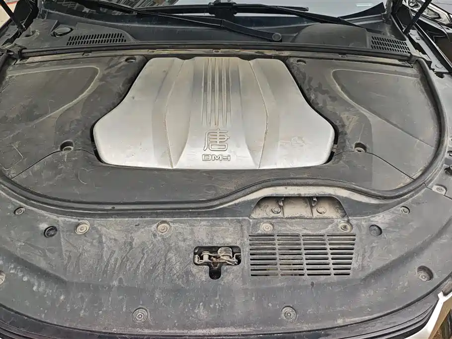 BYD Tang New Energy 2021 DM-i 112KM Honor фото 10