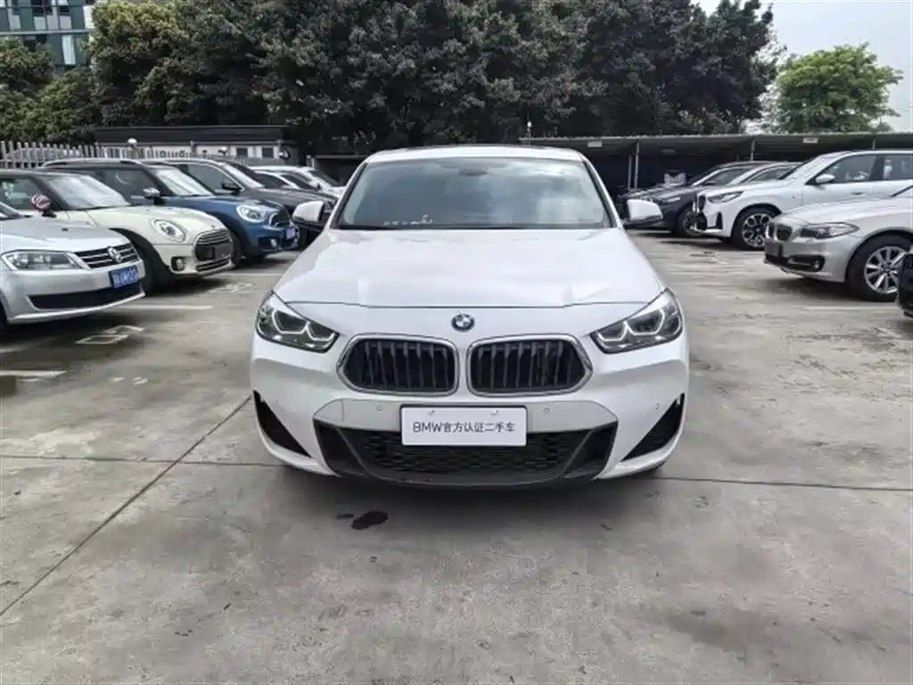 BMW X2