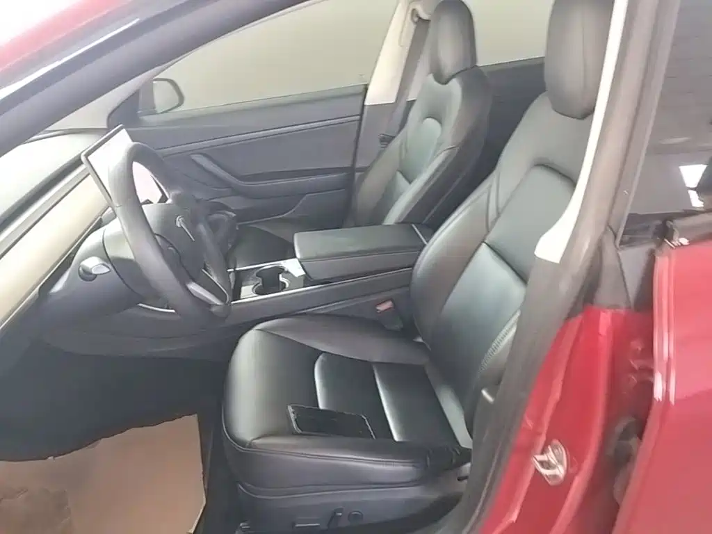 Tesla Model 3 2020 2020 Standard Range Rear-Wheel Drive Upgrade