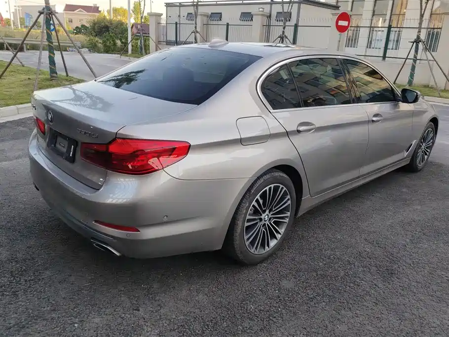 BMW 5 Series 2019 530Li Premium Luxury Package фото 3