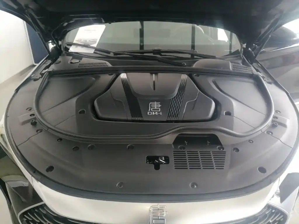BYD Tang New Energy 2025 2025 Smart Driving Edition DM-i 115KM Flagship
