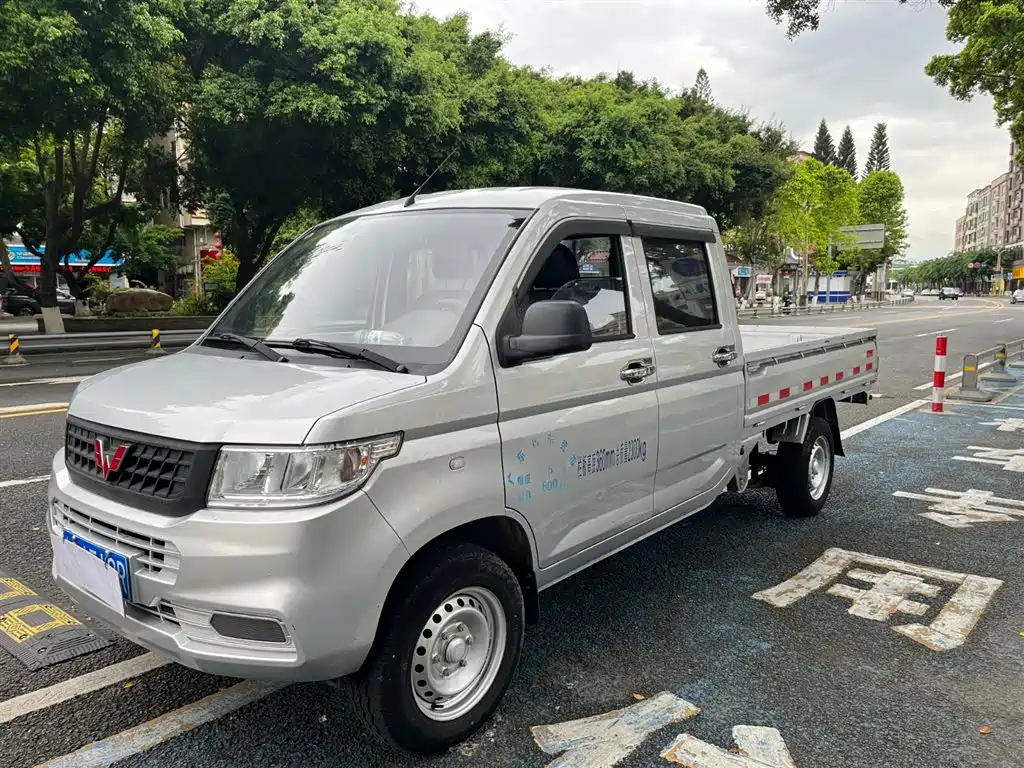 Wuling Motors Wuling Rongguang New Truck 2023 1.5L Double Cab Basic Model LAR