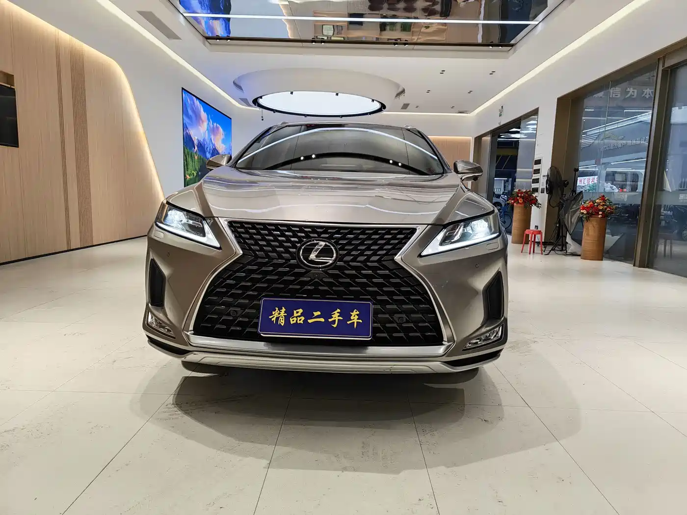Фото 2 - Lexus RX