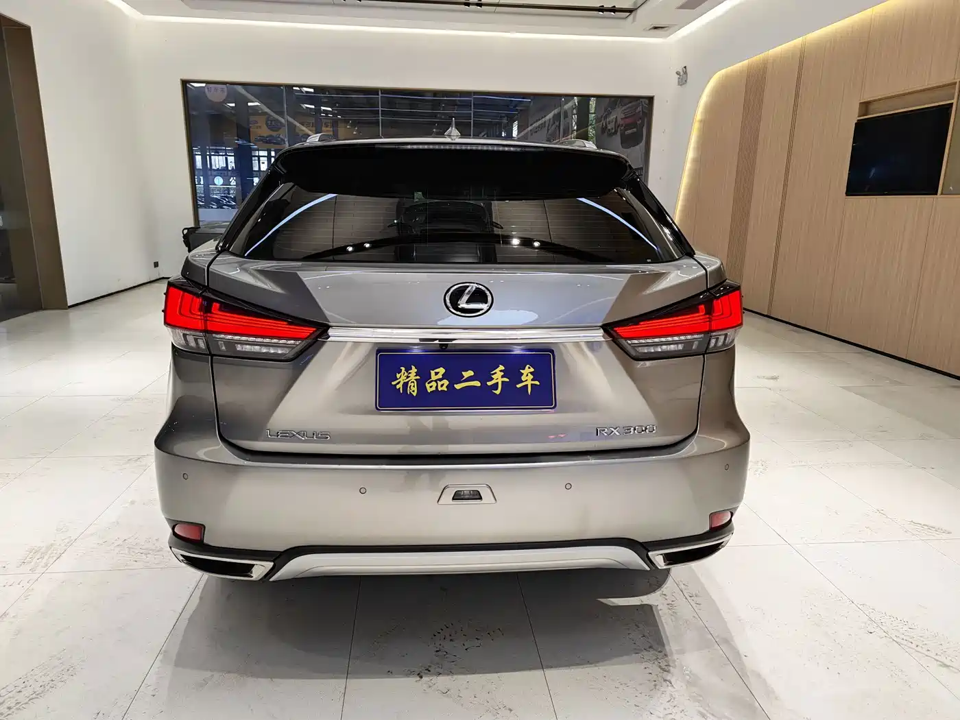 Фото 6 - Lexus RX