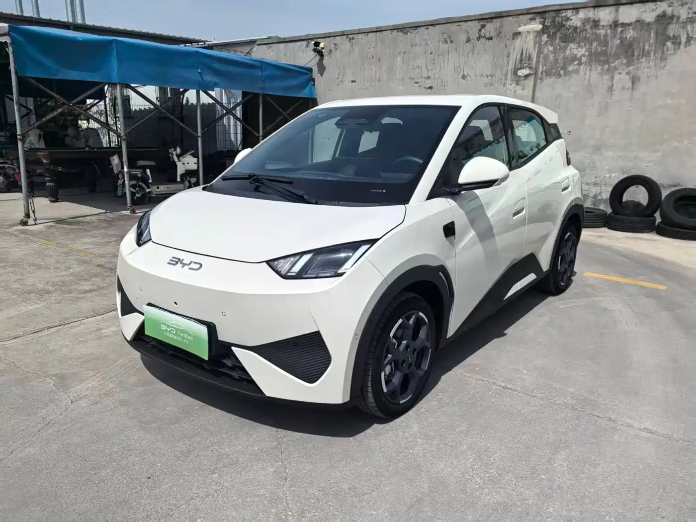 BYD Seagull 2025 Smart Drive Edition 305km Freedom Version