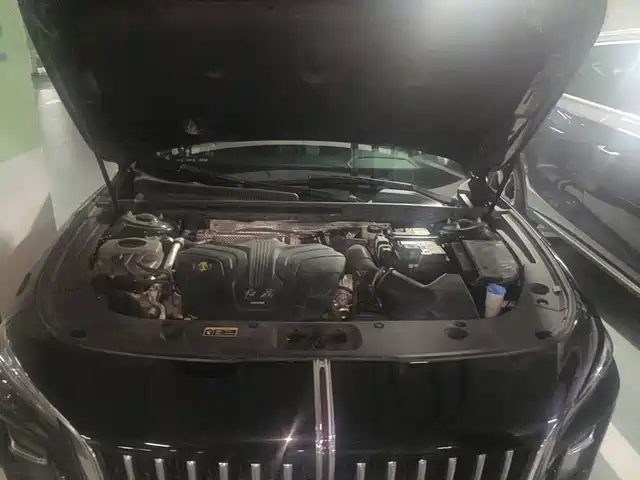Hongqi H5 2023 2.0T Auto Smart Connect Flag Comfort — фото 3