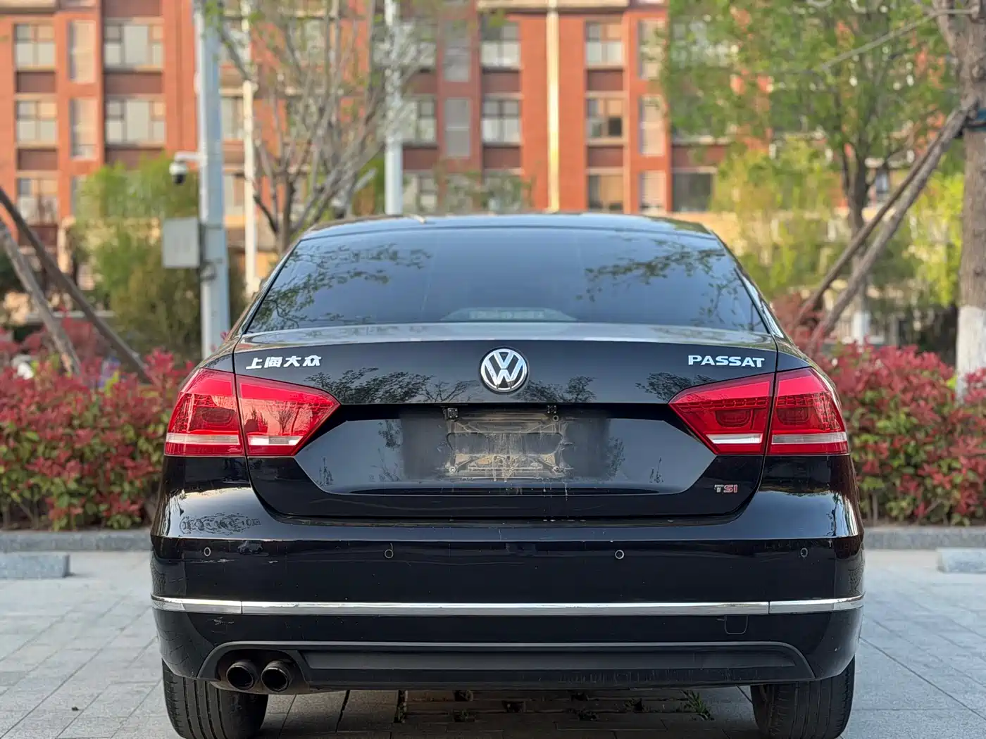 Volkswagen Passat 2014 1.8TSI DSG Luxury Edition фото 5