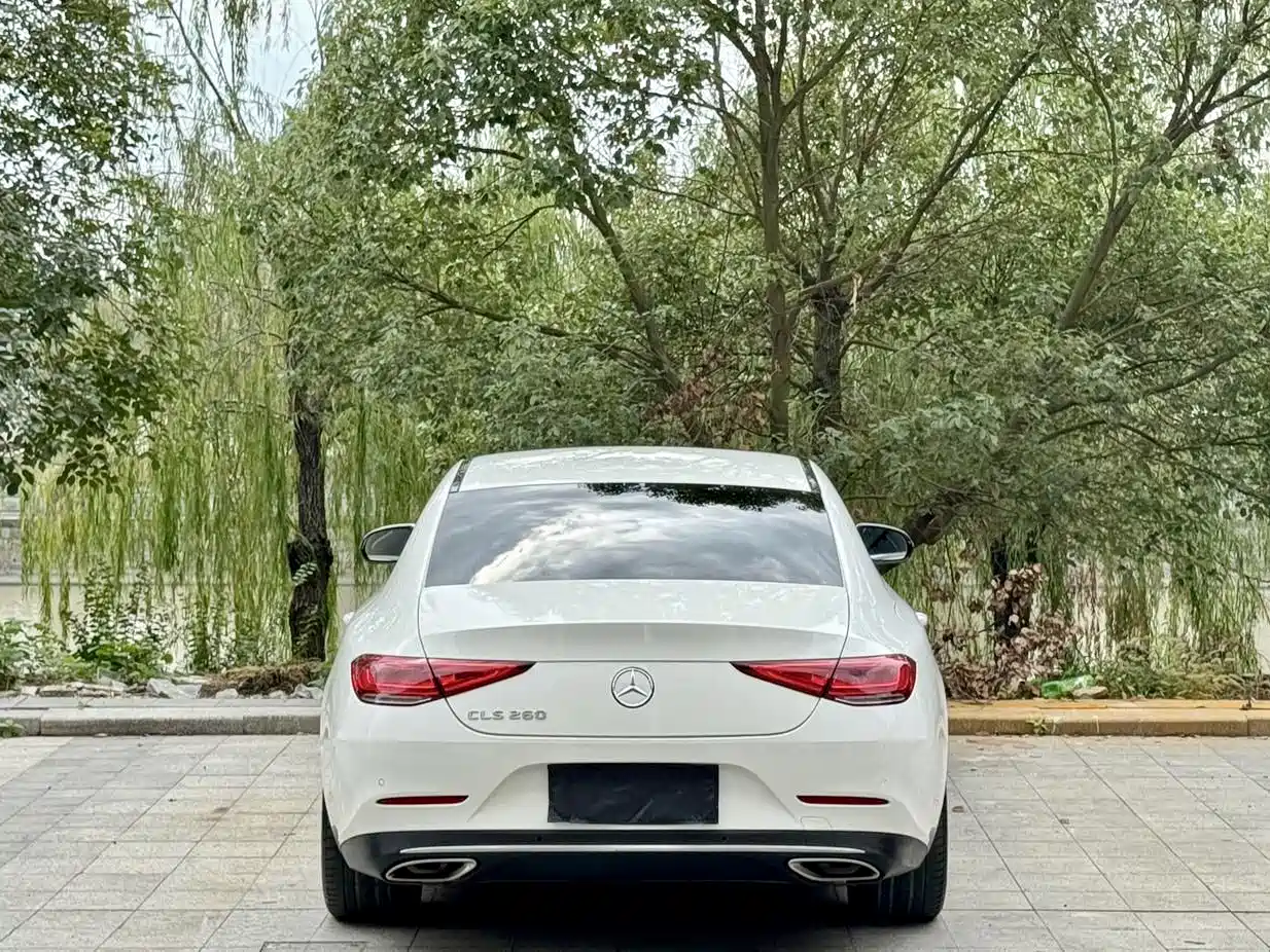 Mercedes-Benz CLS 2021 CLS 260 фото 4