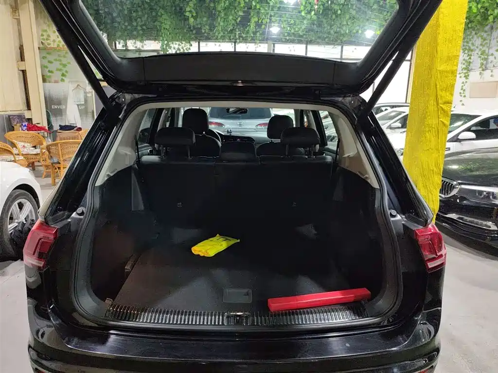 Volkswagen Tiguan L 2019 Facelift 330TSI Auto 2WD Smart Luxury China VI фото 19